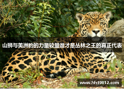 山狮与美洲豹的力量较量谁才是丛林之王的真正代表